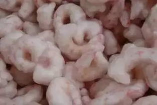 選水產品，究竟是活鮮好還是凍鮮好？——從食品安全與日常烹飪角度探討